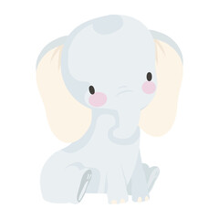 cute little elephant