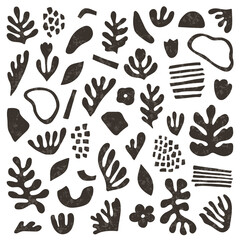 Obraz na płótnie Canvas Black abstract botanical set of leaves, flowers, algae, bizarre shapes. Textured shapes. Vector illustration flat hand-drawn style