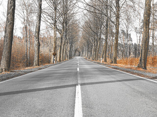 Fototapeta premium Landstraße im Herbst