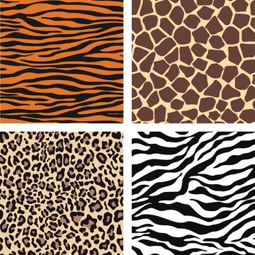 
Vector set pattern leopard, tiger, zebra, giraffe seamless texture.