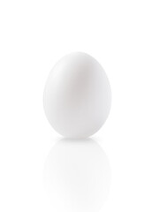 An egg is an isolated object on a white background.