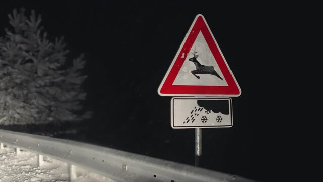 Warning sign for danger of slippery snowfall road and animal danger on road, winter scene at night