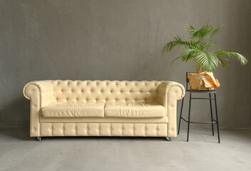 White leather sofa in a dark studio. Modern comfortable cozy. Green palm.