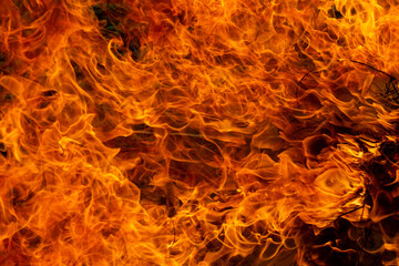 fire flames background - 498324181