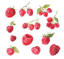 Set dessert. drawn object image. color bright floral hand background. Vegetarian harvest collection. Menu berry fruit. Raspberries painted. Artwork beautiful clip art watercolor clip art