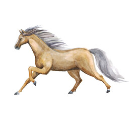 Fototapeta na wymiar Watercolor horse art. Ink modern galloping. Energy active. Wildlife design. Artwork painted running horse running drawing. Hand drawn. Watercolor horse farm 