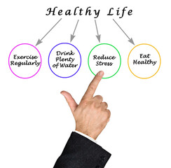Presenting Diagram of healthy life