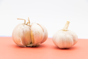 two fresh garlic over on pink background