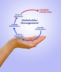 Five Components of Stakeholder Management