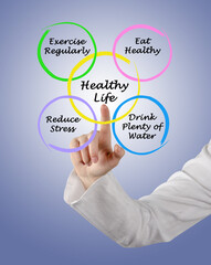 Presenting Diagram of healthy life