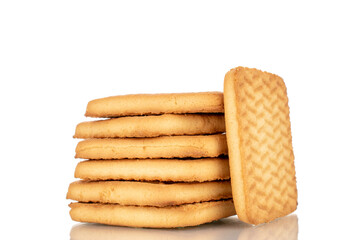 Several delicious sugar cookies, macro, isolated on a white background.