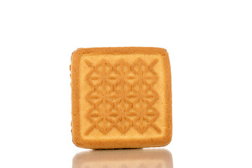 One tasty sugar cookie, macro, isolated on a white background.