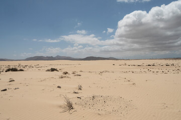 Fototapeta na wymiar Dunas de arena en el Parque Natural de Corralejo, Fuerteventura. Islas Canarias
