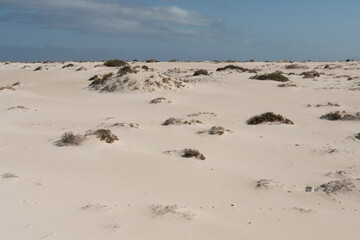 Dunas de arena blanca en El Cotillo, Fuerteventura. Islas Canarias