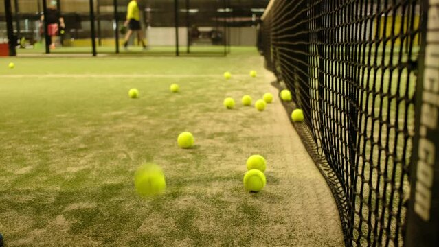 Paddle tennis players and court. Playing sports class