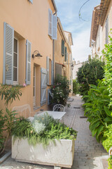 Fototapeta na wymiar Saint Tropez, Provence, Côte d'azur, France: View to a small and charming alley paved with natural stones and decorated with green plants in pots