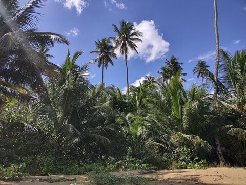 Espinar Beach Aguada Puerto Rico