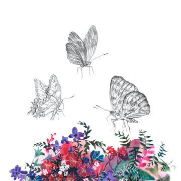watercolor butterflies on a flower