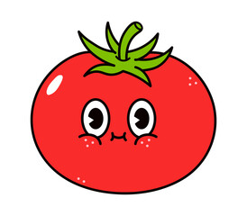 Cute funny tomato character. Vector hand drawn traditional cartoon vintage, retro, kawaii character illustration icon. Isolated on white background. Tomato character concept