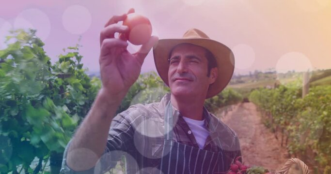 Animation of light spots over happy caucasian male farmer with tomatoes - Powered by Adobe