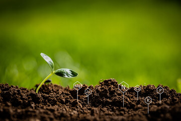 Just emerged young plant form fertile dirt surrounded by signs of chemical elements commonly measured by soil testing