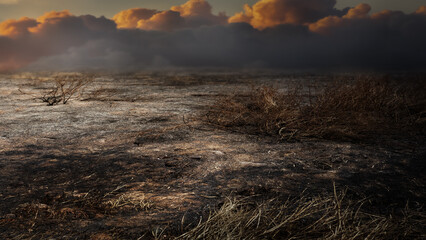 After wildfire  with dust and ashes,area of illegal deforestation..Global warming,Ecology concept background.
