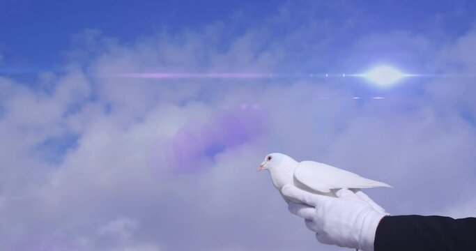 Animation of light spots and clouds over pigeon in hands