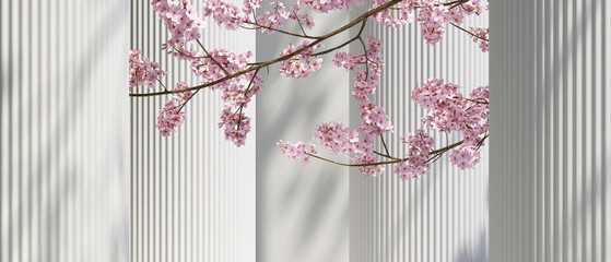 Pink Cherry blossoms and nature light shadow on the wall white background. for branding and product presentation.3d rendering illustration.