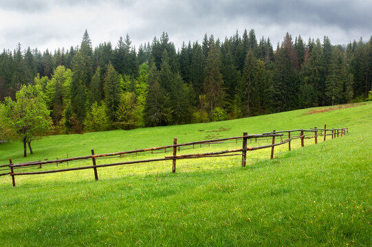 countryside landscape on an overcast day. agriculture field behind the wooden fence. spruce forest on the grassy hill. low clouds hiding the distant mountain