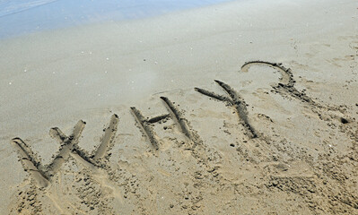 big text WHY and question mark on the beach by the sea