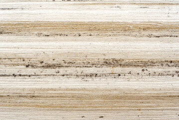 The texture of the laminate. Wood background closeup light color