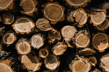 Background, texture of many round brown wooden logs, close-up firewood from acacia, spruce stacked in a row.