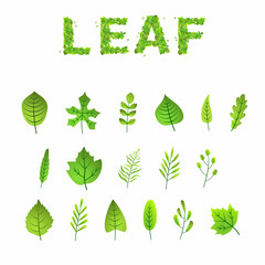 Green leaf vector icons set