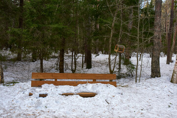A bench on the path of health covered with snow against the backdrop of a spruce forest. Spring, melting snow.