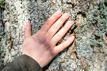 Woman's hand touching old tree bark, love nature, World environment day. Ecology