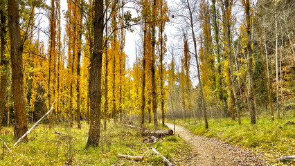 Obraz premium HRD_Nature_V1