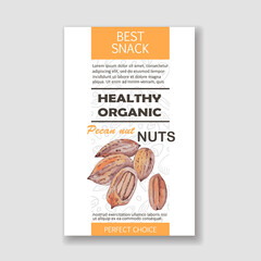 Healthy pecan nut vertical label. Vector packaging design.