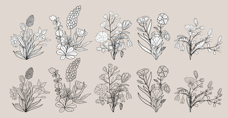 Hand drawn set of blooming flowers. Floral summer collection. Vector sketch elements. Decorative doodle illustration for greeting card, wedding invitation, fabric