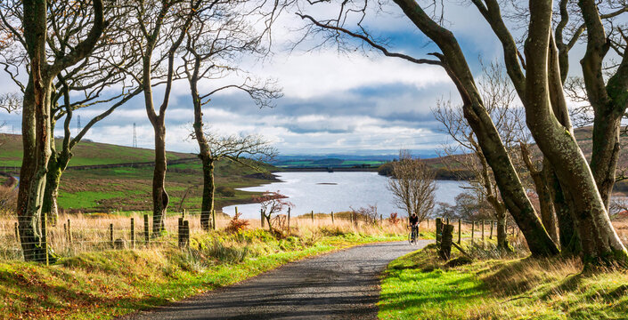 Cyclist and trees, Dalry, North Ayrshire, Scotland, UK