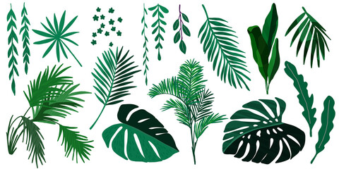 Fototapeta na wymiar Tropical leaves collection, hand drawn vector set