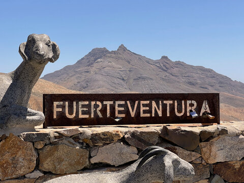 Monta&ntilde;as y cabras de Fuerteventura, Islas Canarias