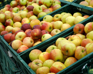 a lot of ripe apples are in green plastic boxes in the supermarket. side view