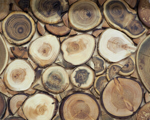 wooden background. sections of tree trunks in the decor. wooden stand