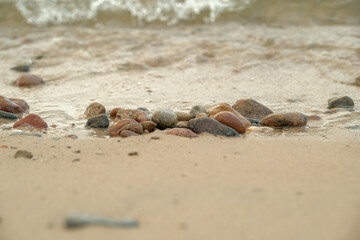 Beautiful rocky sea shore with driftwood trees trunks at sunrise or sunset. Baltic sea shore