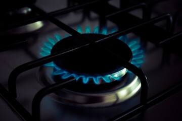 Domestic gas stove burner. Close up picture of blue methane flames burning from gas nozzles on a low-key background. Gas supply chain: global crisis and price increase.