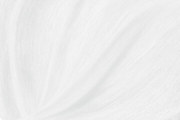 Abstract white and gray gradient color curve background,