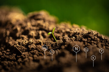 Just emerged from the ground sprout behind signs of chemical elements contributing to soil fertility
