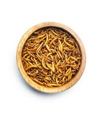 Fried salty worms in bowl. Roasted mealworms.