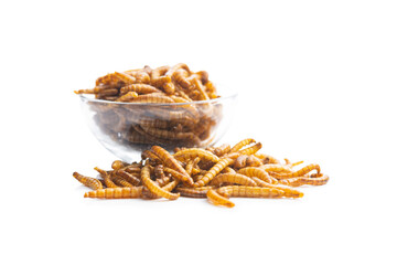Fried salty worms. Roasted mealworms.