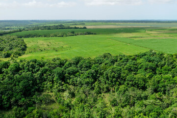 Fototapeta na wymiar Agriculture and the environment. Sugarcane cultivation advancing over Atlantic Forest remnants near Joao Pessoa, Paraiba, Brazil, July 2, 2008. Aerial view.